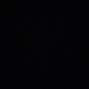 Meet your Posher, Bibi